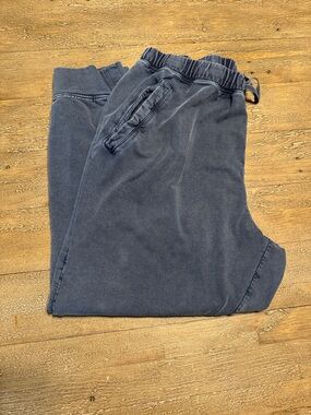 Coldwater Creek Women’s Joggers, Petite Large